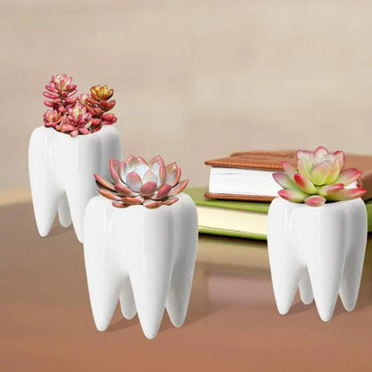 Charming Tooth-Shaped Ceramic Flowerpot - Vintage & Trendy