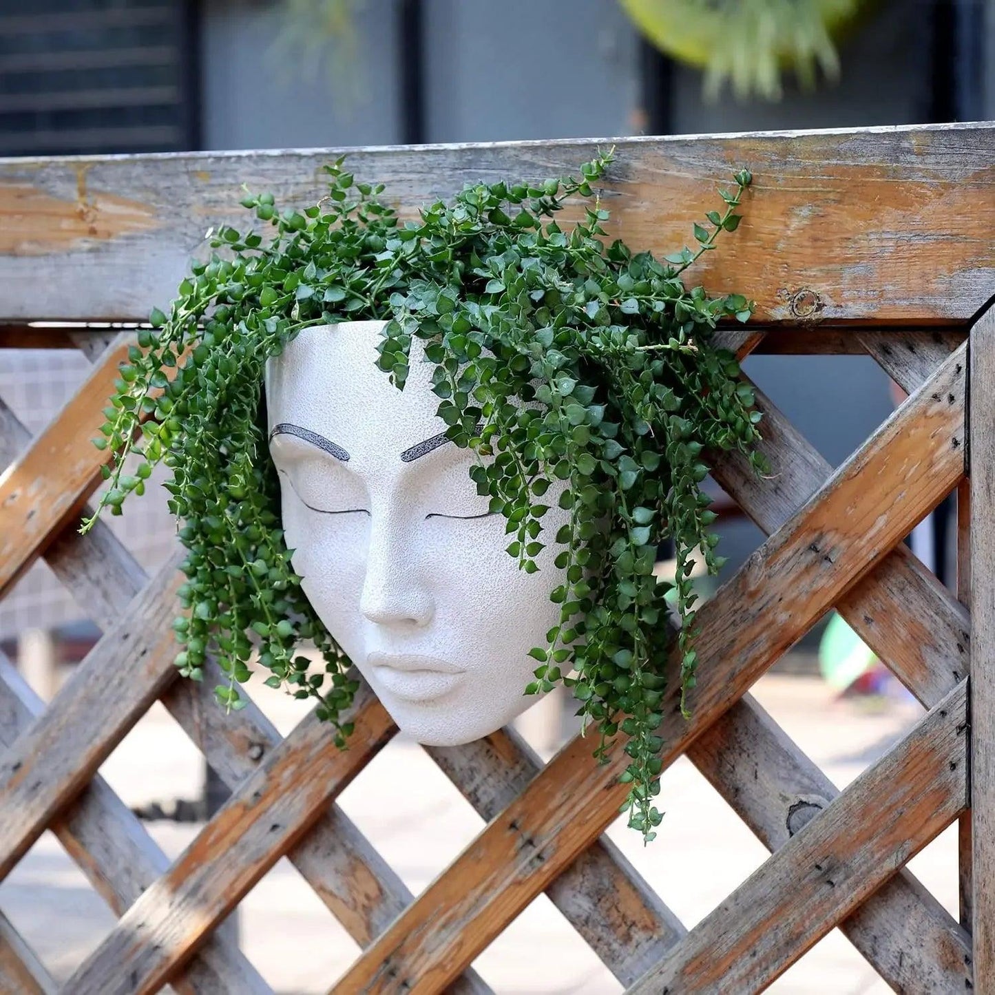 Artistic Face Wall Planter - Vintage & Trendy