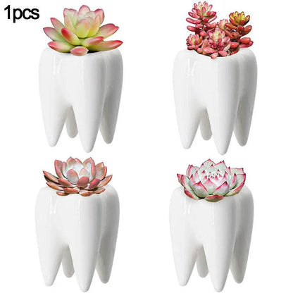 Charming Tooth-Shaped Ceramic Flowerpot - Vintage & Trendy