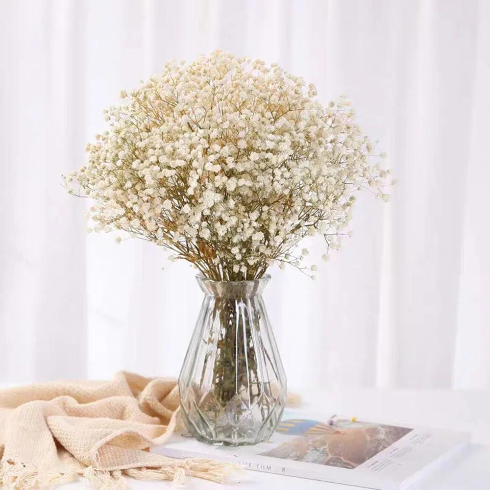 Natural Fluffy Dried Flower Pampas Grass Bouquet - Vintage & Trendy