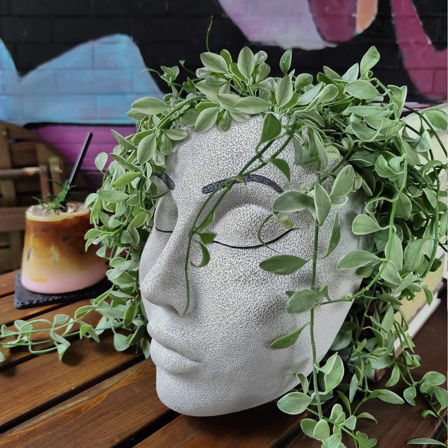 Artistic Face Wall Planter - Vintage & Trendy